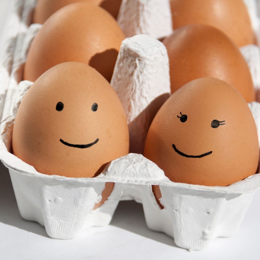 Projektowane jajka